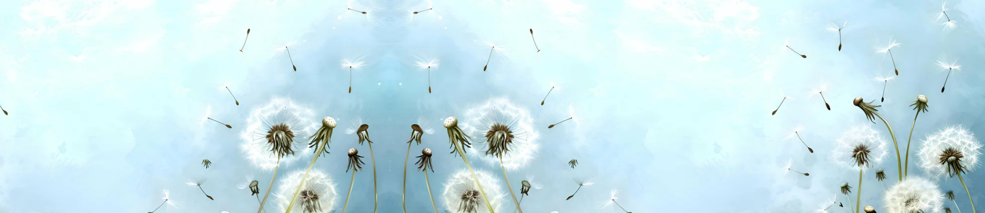 2-52892835086603-60777086976267.png