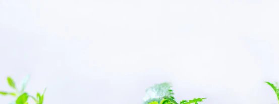 2-52898825404683-44359451476235.jpeg
