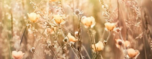 2-52898962571531-44325476761867.jpeg