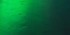2-52920262459659-44324080451851.jpeg