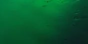 2-52920580899083-44324080451851.jpeg