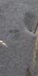 2-52923810808075-44343349117195.jpeg