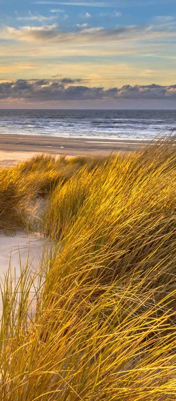 2-52927222153483-66101366259979.jpeg
