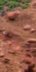 2-52937157738763-64610575024395.jpeg