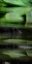 2-52977091248395-46310140543243.jpeg