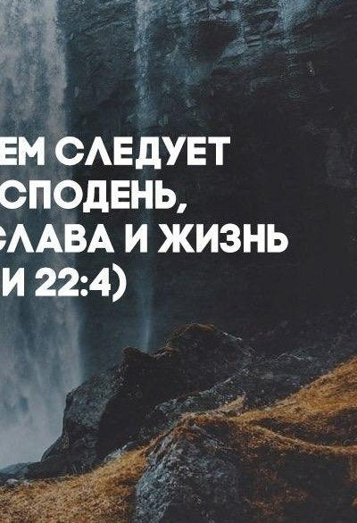 2-53028134551819-40428076204299.jpeg