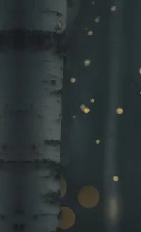 2-53029147967755-46221941276939.jpeg
