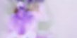 2-53043793133835-60776015888651.jpeg