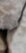 2-53063894892811-44343376052491.jpeg