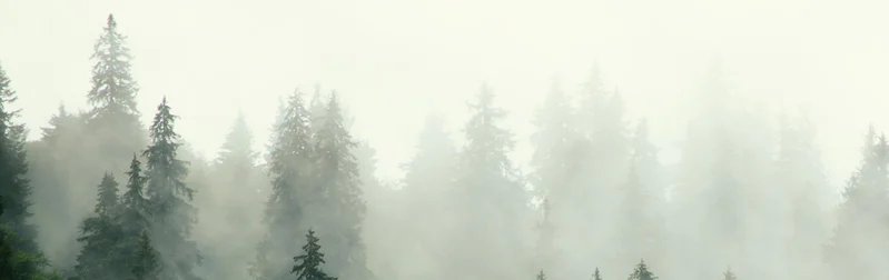 2-53082853507339-50812216344843.jpeg