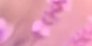 2-53084147712267-44327203569931.jpeg