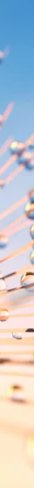 2-53090218737931-66751410766091.jpeg