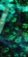 2-53132921438475-46310452035851.jpeg