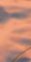 2-53141647327499-44343343907083.jpeg