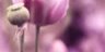 2-53157472993547-44329683812619.jpeg