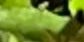 2-53161033597195-40428056740107.jpeg