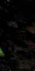 2-53161847062795-44343390994699.jpeg