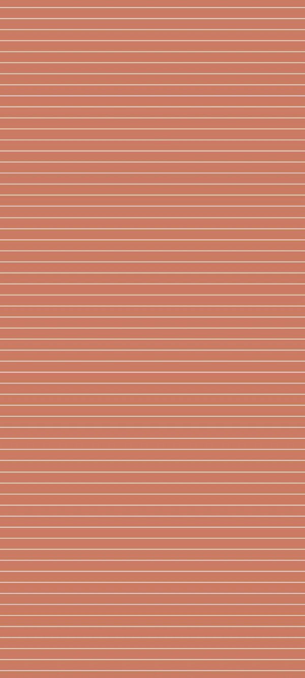 2-53162941481227-66090348445963.jpeg