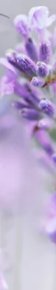 2-53171797950731-64460042666251.jpeg