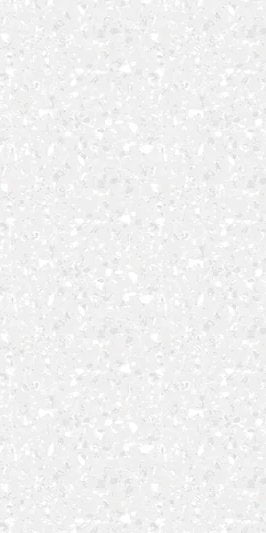 2-53173304787211-66093406060811.jpeg