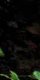 2-53175815733515-44343390994699.jpeg