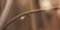 2-53178301776139-44325476761867.jpeg