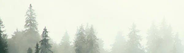 2-53207933223179-50812216344843.jpeg