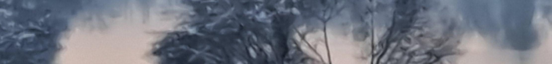 2-53210817790219-40428056740107.jpeg