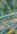 2-53223783858443-65927886405899.jpeg