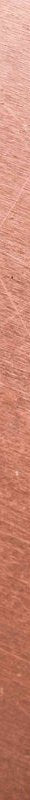 2-53243548434699-64978070569227.jpeg