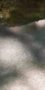 2-53279597166859-65047454220555.jpeg
