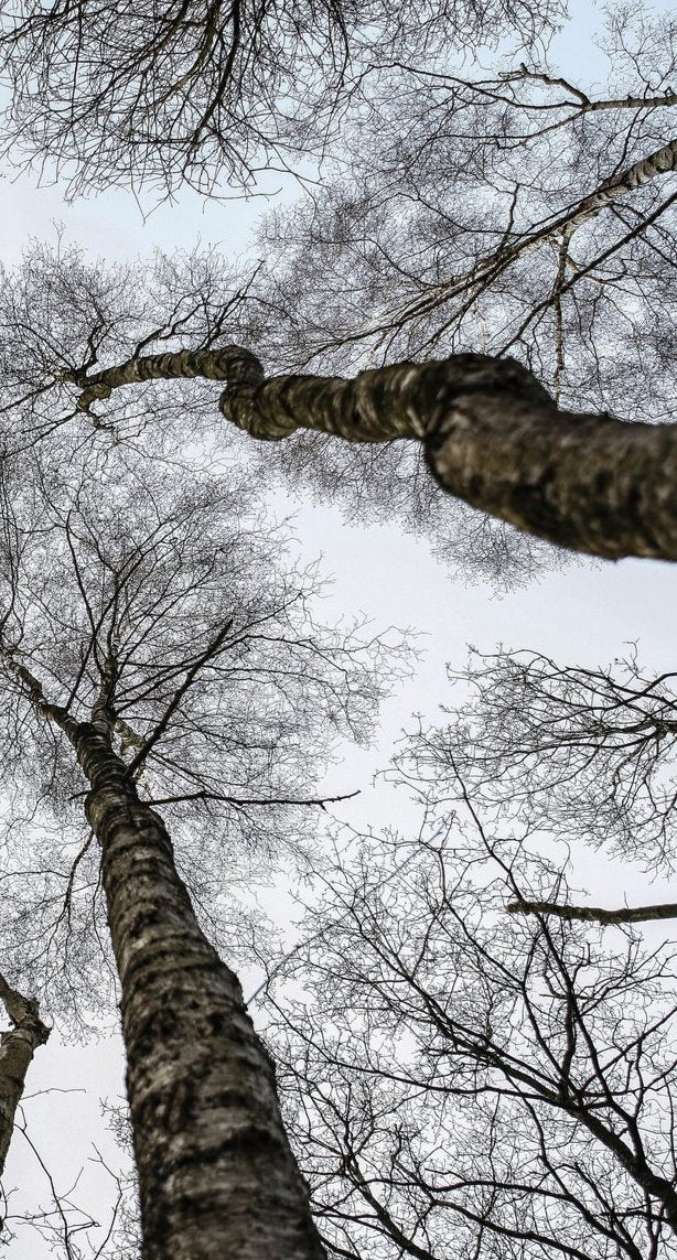2-53292325699851-46375890190603.jpeg