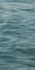 2-53296699474187-64455616790795.jpeg
