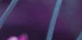 2-53318634504459-44341451260171.jpeg