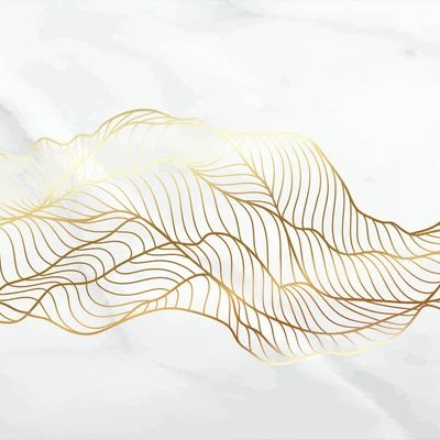 2-53318936690955-66301319807243.jpeg