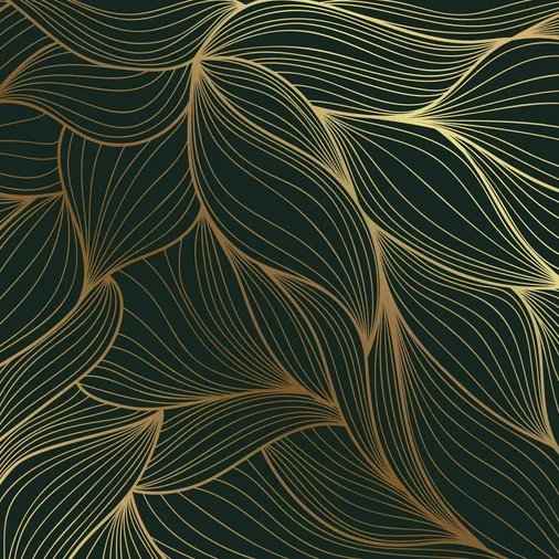 2-53318947275019-66287154823435.jpeg