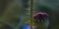 2-53319422214411-44327069810955.jpeg