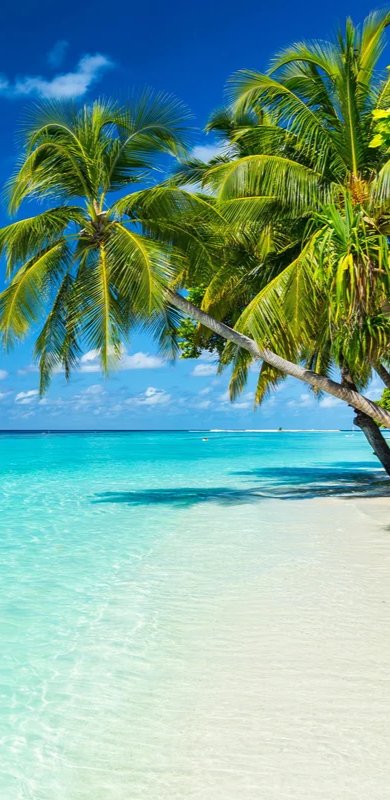 2-53319830864139-46337120141579.jpeg