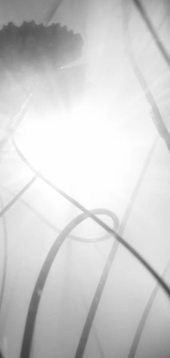 2-53328260530443-46375621820683.jpeg