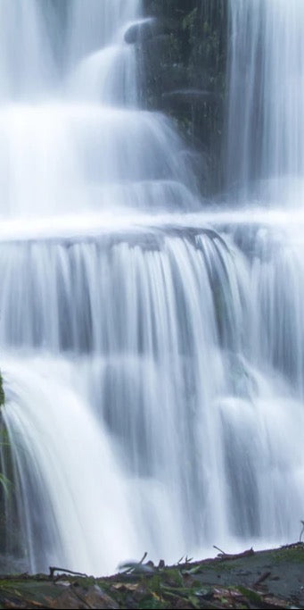 Duschrückwand - Wasserfall im Wald mit Flesen