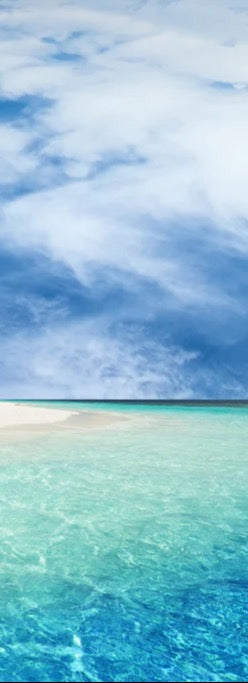 Duschrückwand - Tropische Insel mit Kokospalmen