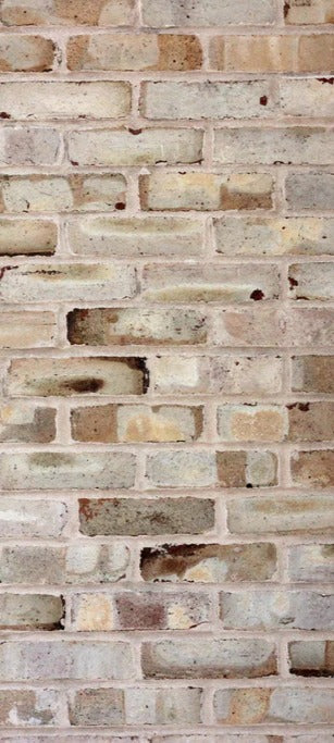 Duschrückwand - Braune verschimmelte Ziegelmauer