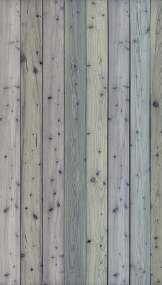 Duschrückwand - Bunte Holz Wand Textur