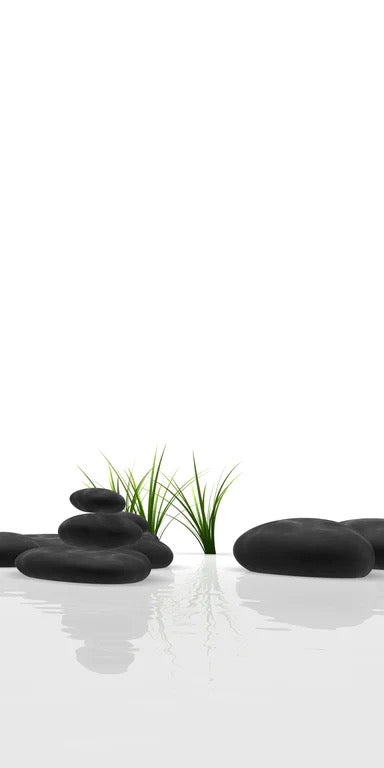 Duschrückwand - Ruhiges Steine Gefilde mit Gras und Wasser