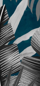3-51308156977419-44327495237899.png