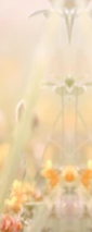 3-52039916814603-44323914252555.png