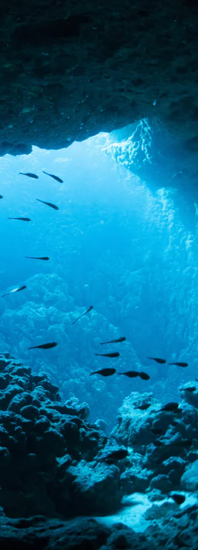 3-52118400860427-44345416483083.png
