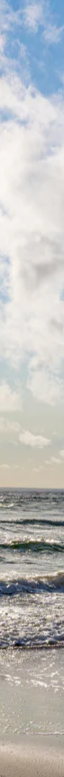3-52155707556107-44343842373899.png