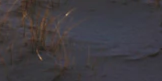 3-52809010086155-48382292295947.png