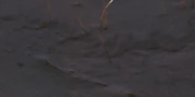 3-52885786657035-48382292295947.png